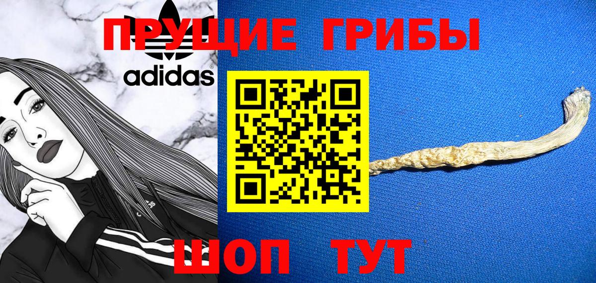 Галлюциногенные грибы ЛСД  Вход с VPN  Гагарин  Псилоцибиновые грибы Psilocybine cubensis 